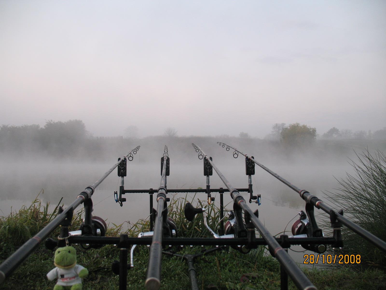 partide de pescuit - 200810281099.JPG